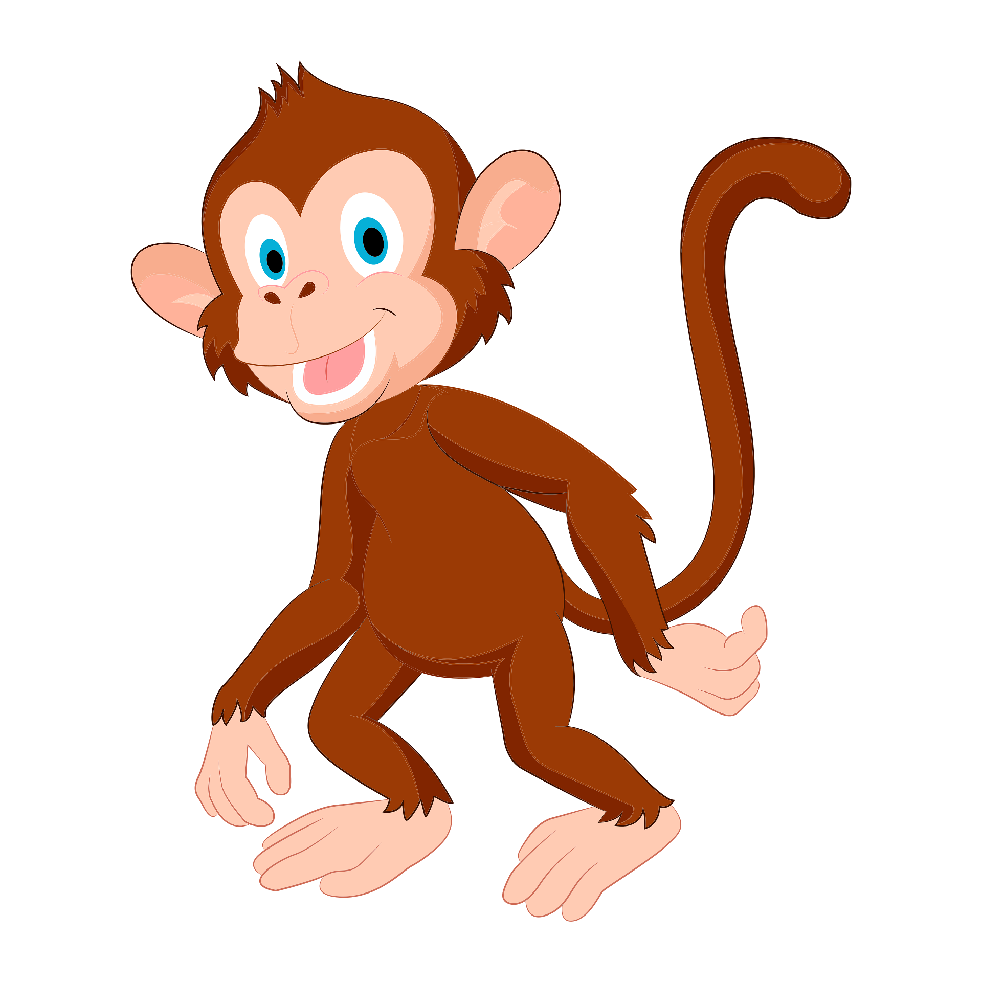 monkey